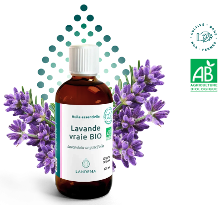 "Flacon huile essentielle Lavande vraie BIO Landema propriétés relaxantes apaisantes protocoles anti-stress spa"