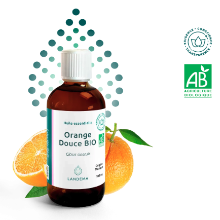 Capture d’écran 2025-06-25 à 18.13.22