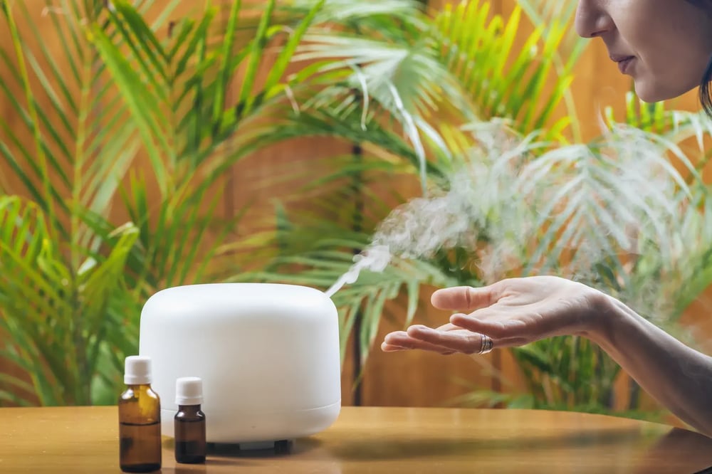 Diffuseur professionnel huiles essentielles hall hôtel luxe
