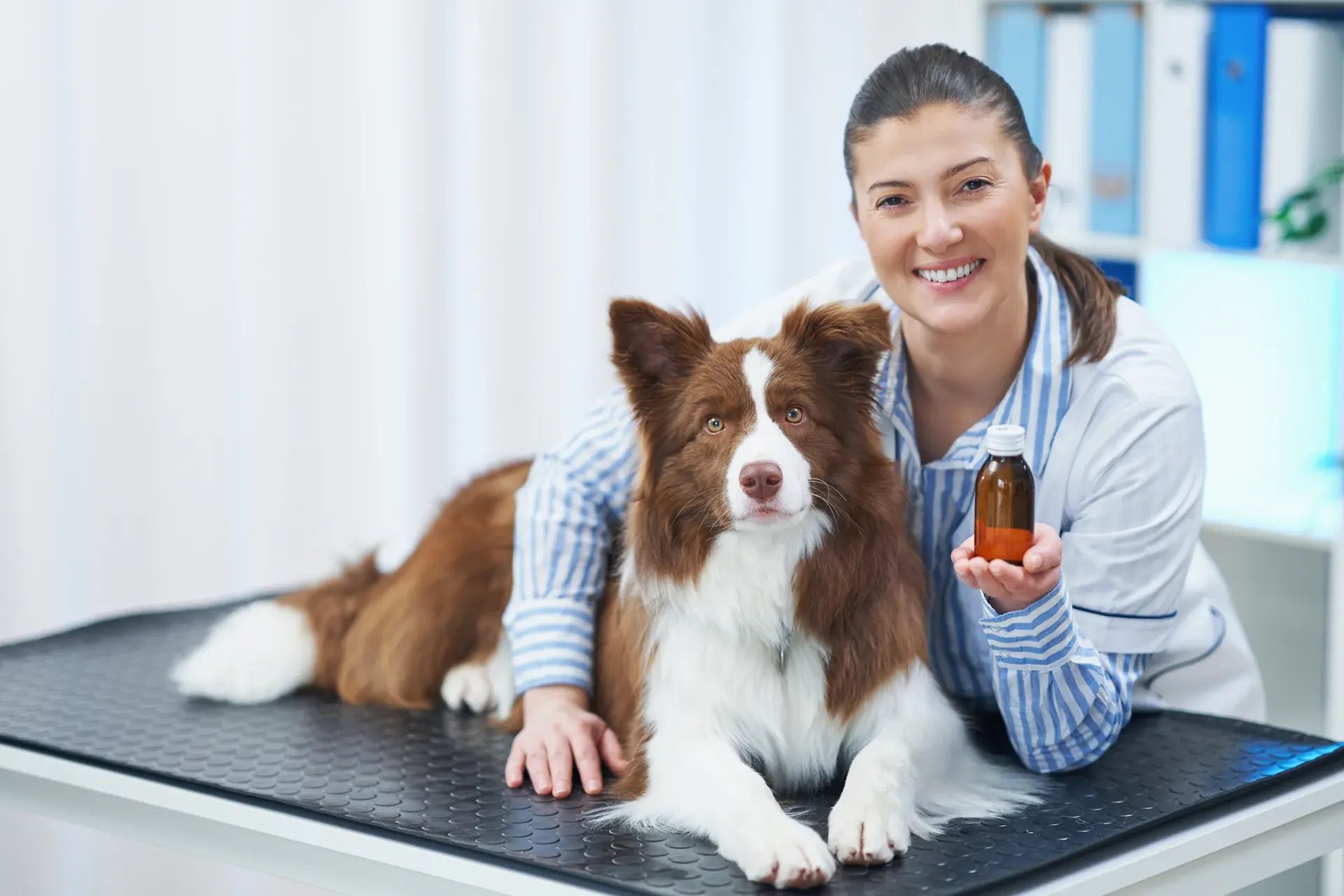 Vétérinaire utilisant aromathérapie pour soins naturels animaux