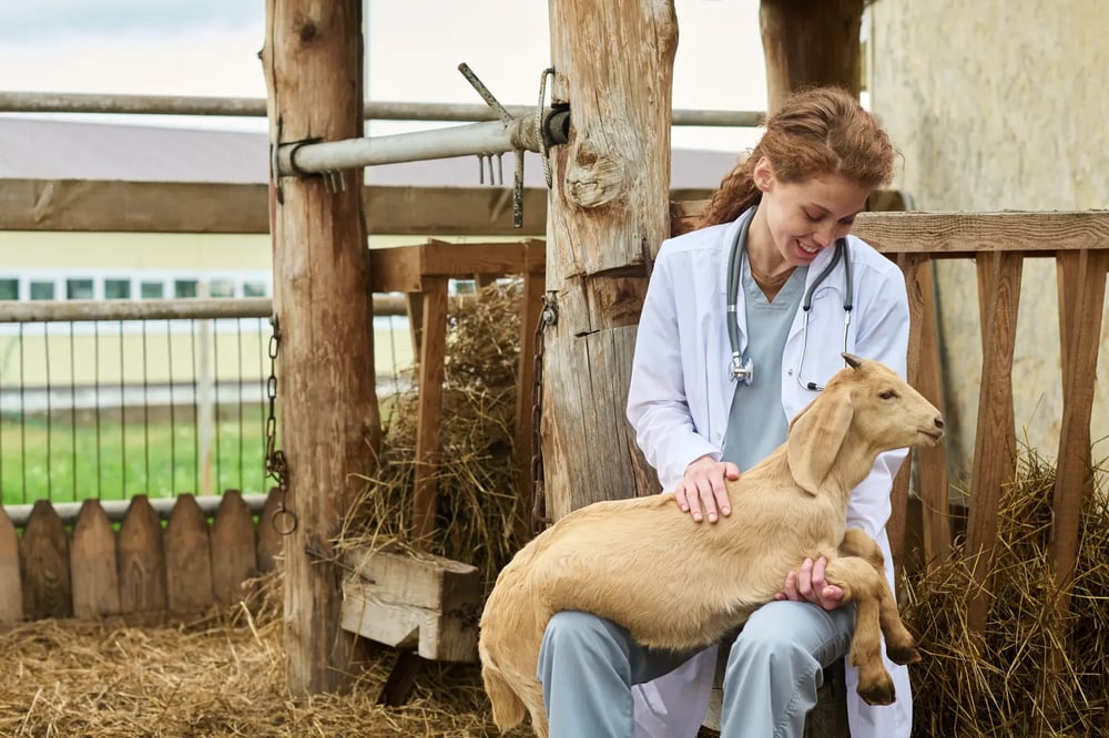 Comparaison métabolisme animaux pour aromathérapie vétérinaire
