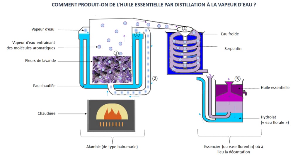 Process extraction huiles essentielles étapes production industrielle Biolandes