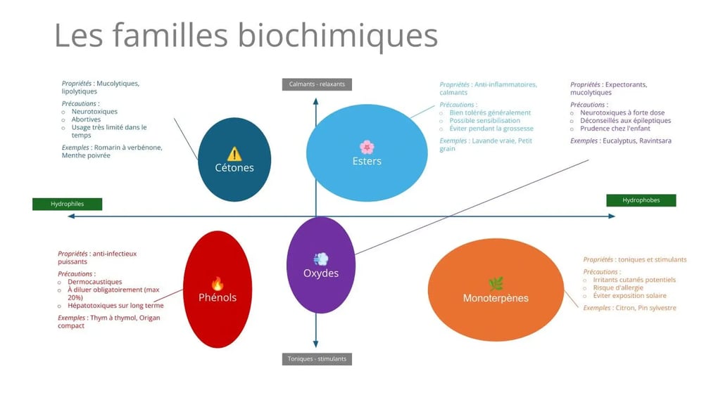 Comparaison des principales familles biochimiques (monoterpènes, sesquiterpènes, esters, phénols)