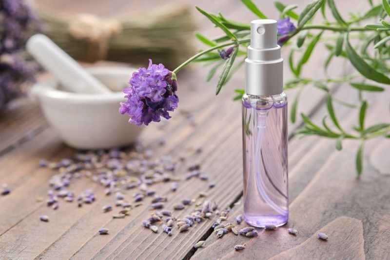 Huile essentielle de lavande : guide complet d'utilisation et bienfaits