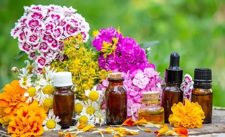 Huiles essentielles en été