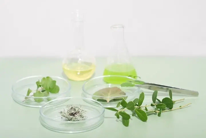 Extraits naturels innovants